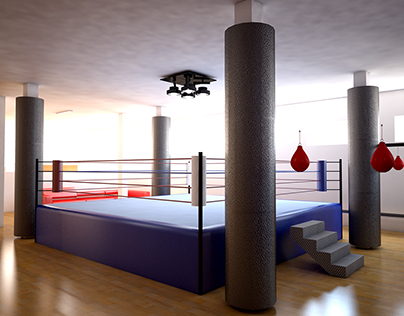Salle de Sport MMA