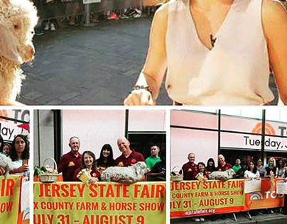 Fair Banner As Seen on The Today Show