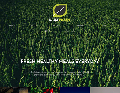 Web Design: Daily Fresh
