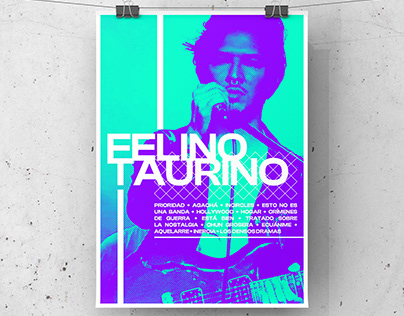 Poster N.15 - "Rey Felino"