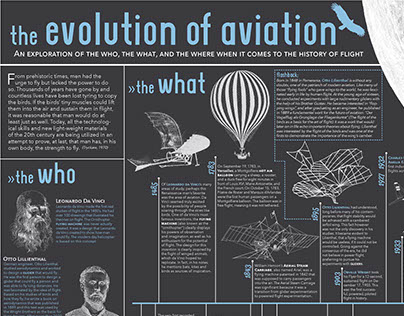 The Evolution of Aviation