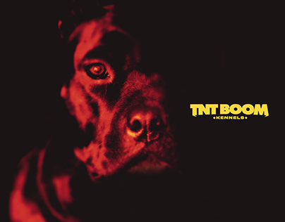TNT Boom Kennels | Brand Identity