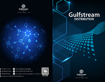 Presentation "Gulfstream"