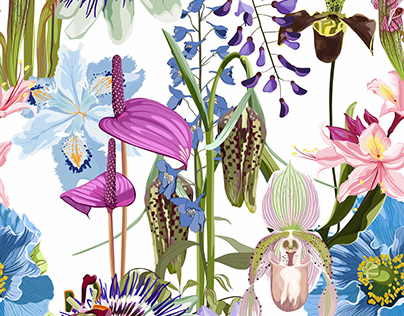 Exotic tropical flowers vector illustration