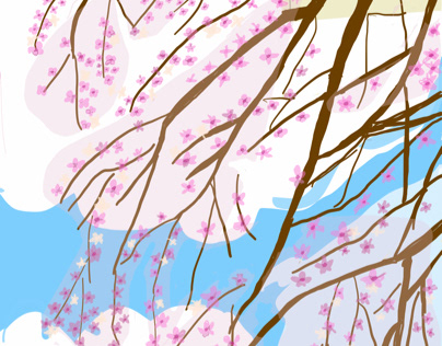 The season of cherry blossoms
