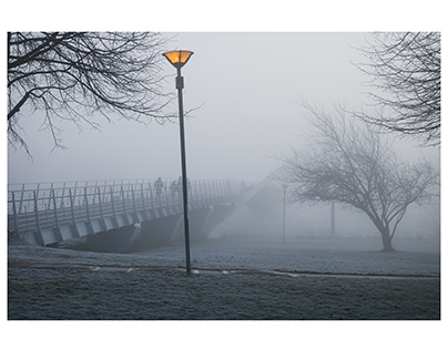 Twisted In The Mist - York, England