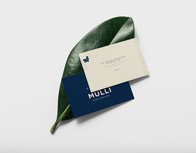 Mulli | Brand Identity
