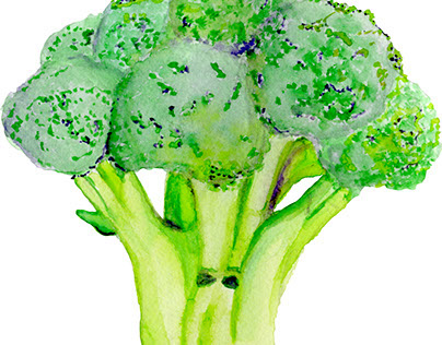 Water Colored Vegetables