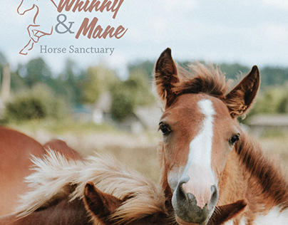 Whinny and Mane Horse Sanctuary Social Media Analysis