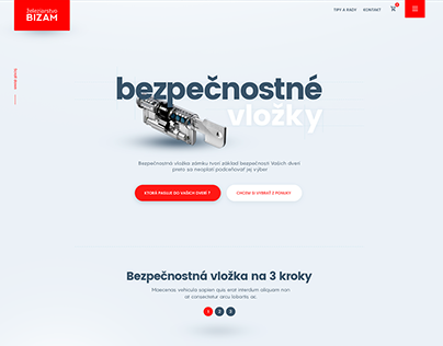 UI/UX, Web Design for Bizam