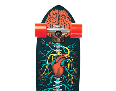 Riviera Skateboards - Anatomy