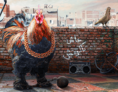 the boss rooster | زعيم السَطح