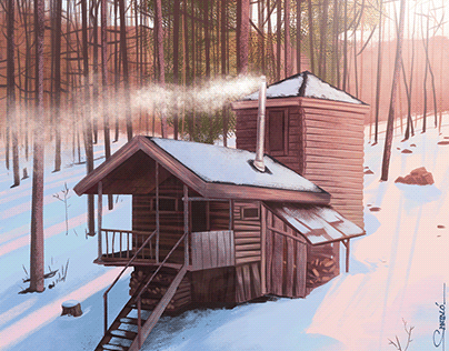 Cabins in the woods