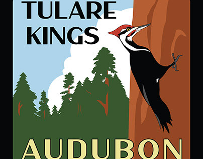 Tulare Kings Audubon Society Logo