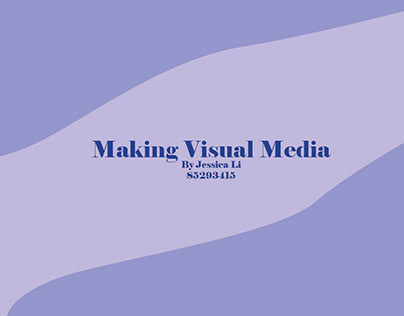 Making Visual Media Assessment 1