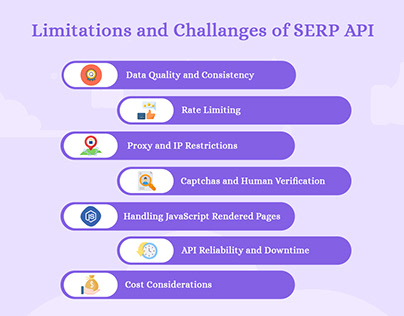 7 Best Limitations of SERP API