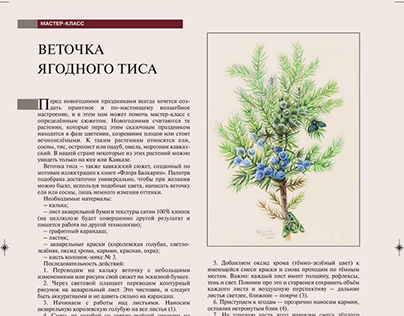 Master class “Taxus baccata”