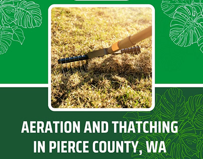 Aeration and thatching in Pierce County, WA