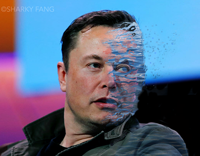 Elon's Waters
