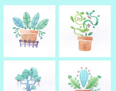 Plants in Pots (Watercolor)