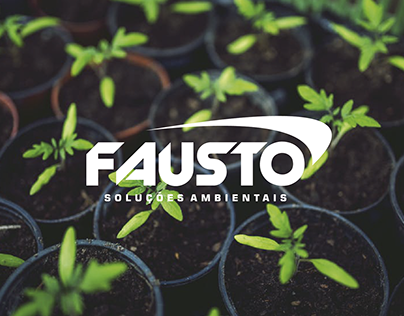 Website onepage Fausto Ambiental