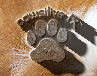 Pawsitive Fx Branding For your dogs