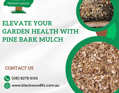 Elevate Your Garden Health with Pine Bark Mulch