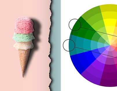Color Theory Fundamentals for Food Photography