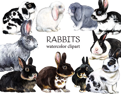 Rabbits watercolor clipart