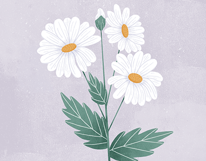Project thumbnail - Daisies in Spring