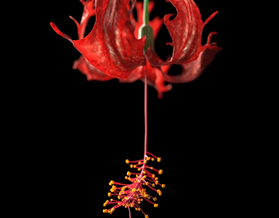 Project thumbnail - Houdini Procedural Flower