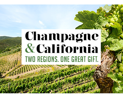 Champagne & California Wine Region Email