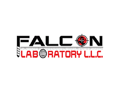 Why Choose Falcon Laboratory for Geophysics Services