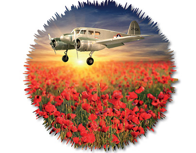 Remembering Air Crash and loss of wartime aircrew