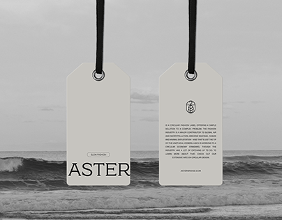 Aster Brand Identity & Web Design