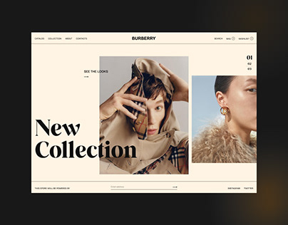 Burberry Concept Website Design