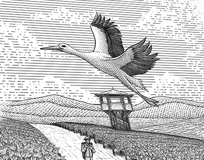 Storks in the Vineyard