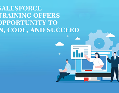 Our Salesforce LWC Training Offers