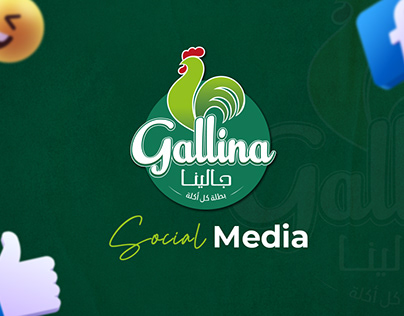 Social Media Posts(Gallina chicken)