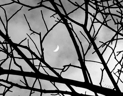 "Croissant de Lune" (Cressent Moon)