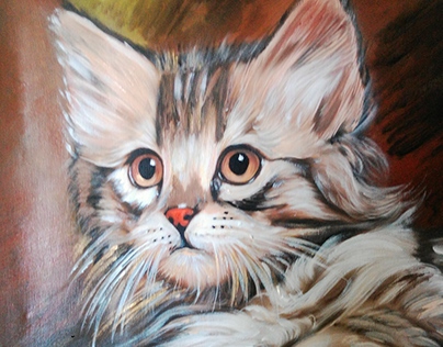 cat " acrylic on canvas 50X50 cm