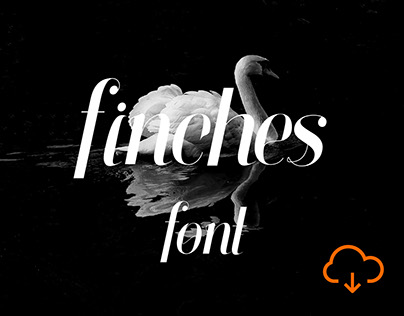 Finches Font