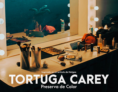 Tortuga Carey - Preserva de Color