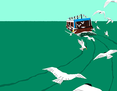 Terns and Boat
