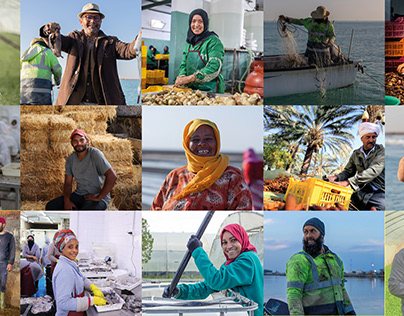 USAID Tunisia JOBS - Photography