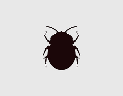 Bugs Illustration
