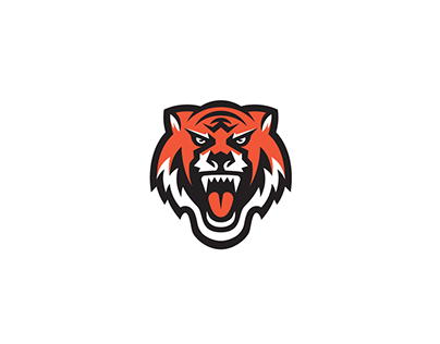 WLS Tiger Branding