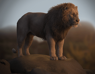 Lion Project