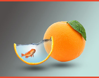 Fish & Orange Design template
