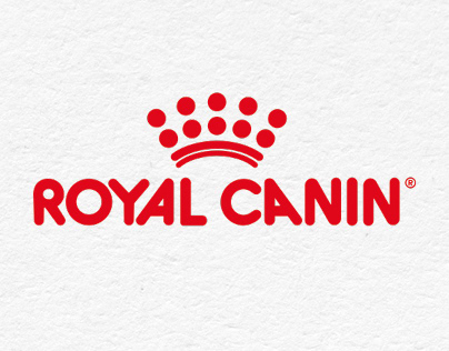 Project thumbnail - Royal Canin - Club Energy